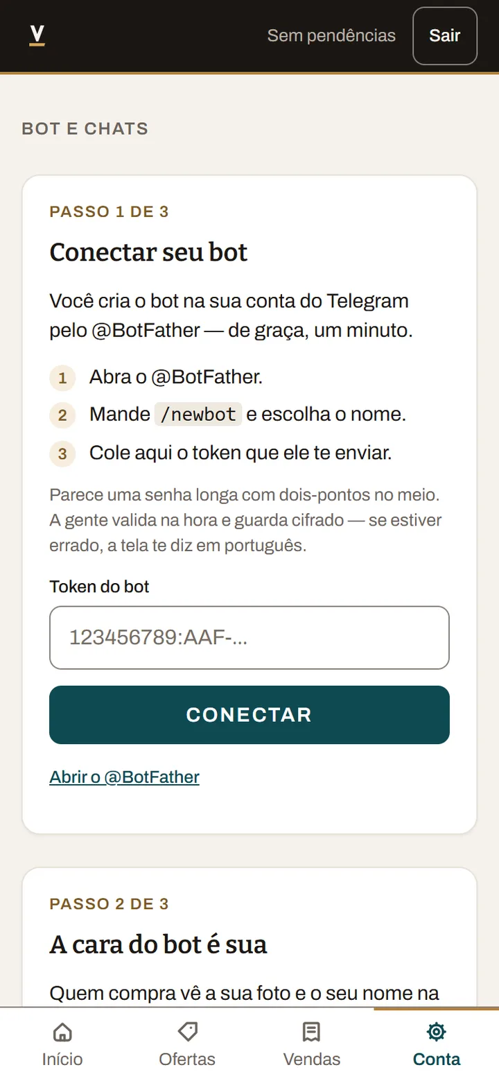 Print real: o painel pronto para receber o token do bot